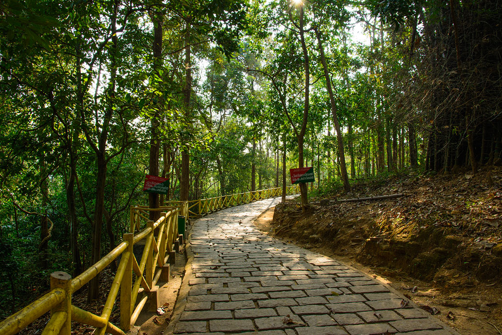 Way leading to Athirapally Waterfalls