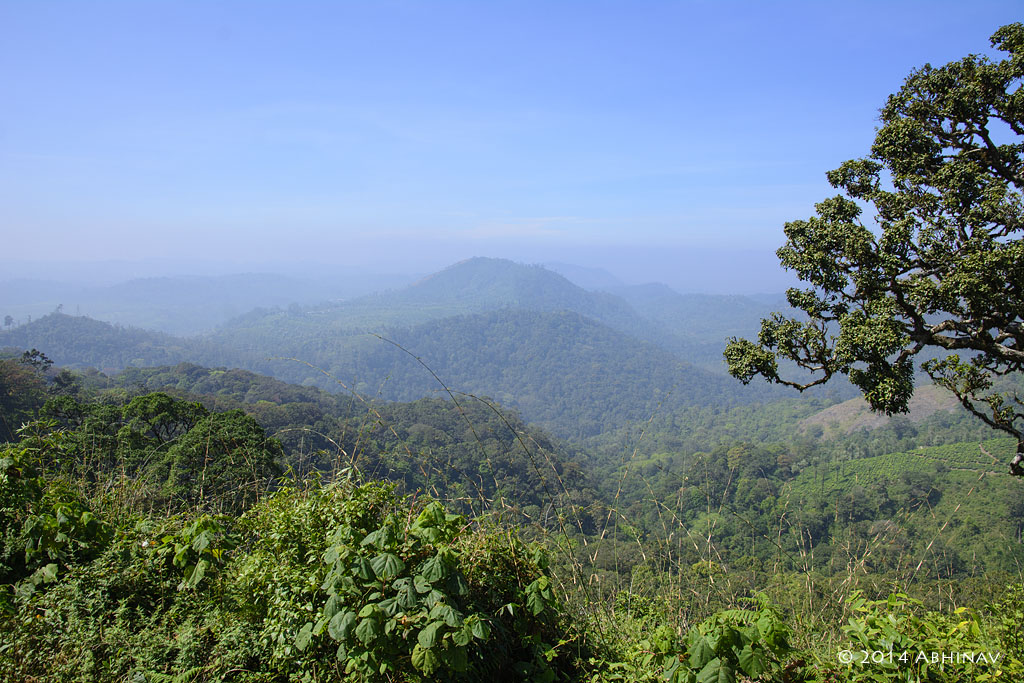 Athirapally to Valparai to Pollachi Road Trip: A Photo Journey